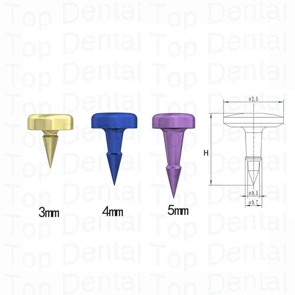 10pcs Dental GBR System Bone S - đánh giá và giá Stabilizer Screw In